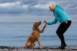 Desire - Hundetrainerin